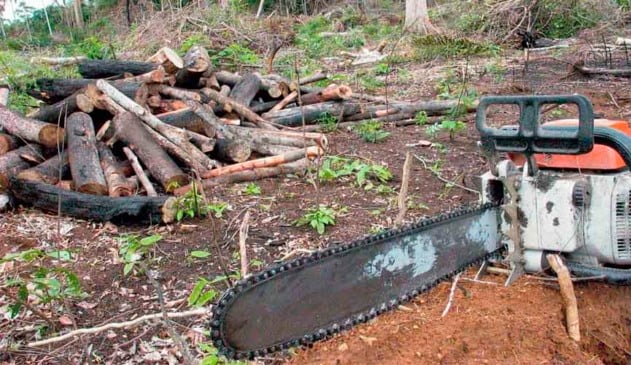 Humanidade já usou recursos naturais do planeta para 2019