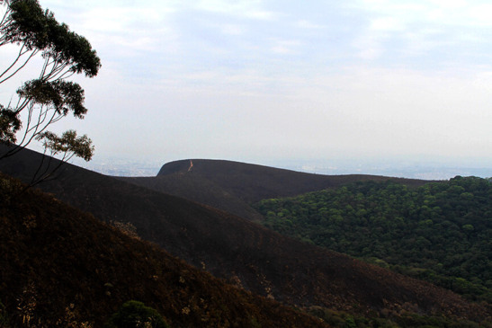 Mursa após incêndio. (Foto: Mauro Utida)