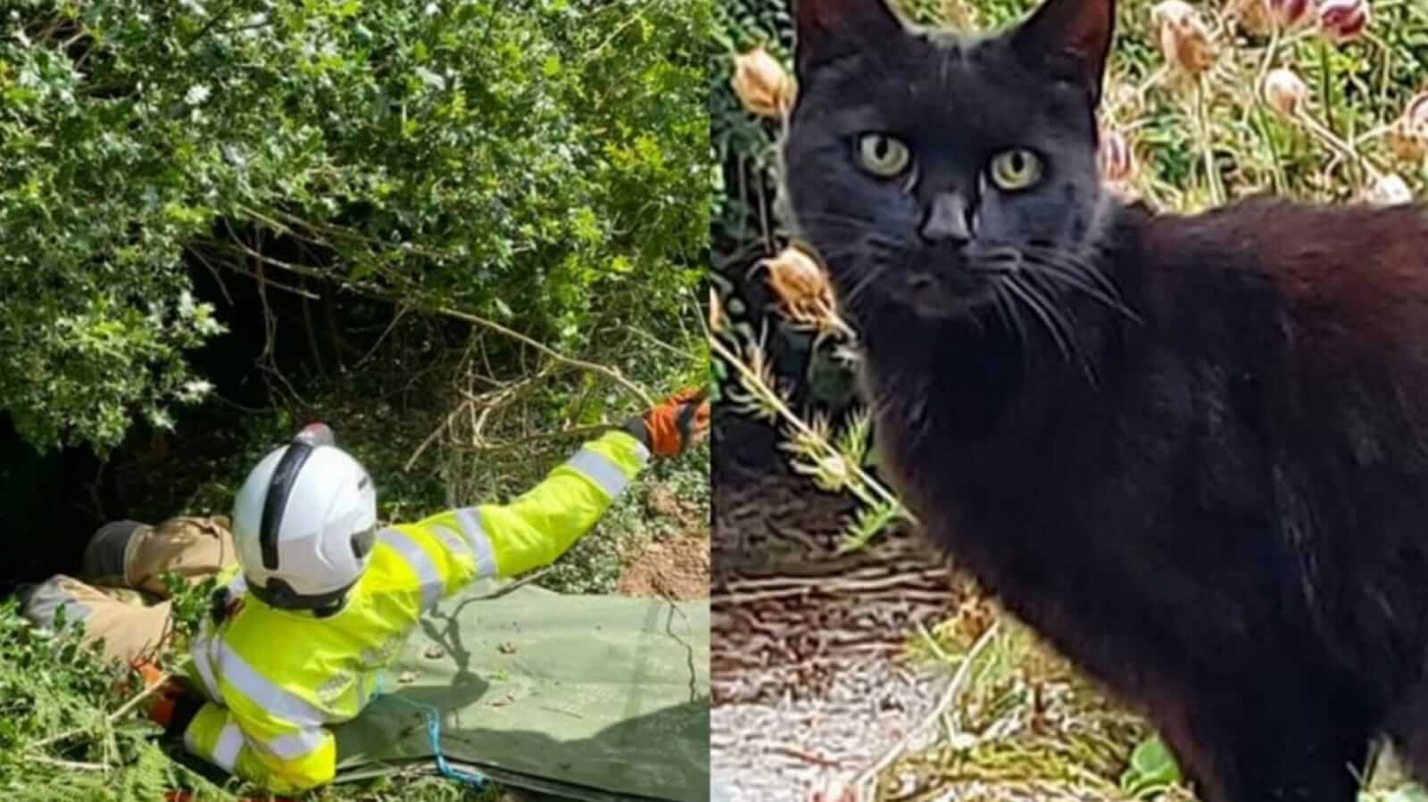 Socorrista e gato preto