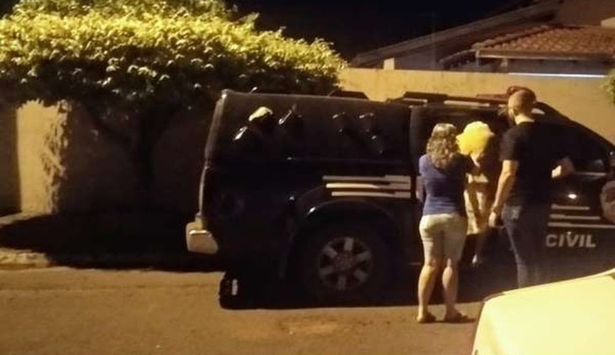 Idosa de 83 anos é presa após matar filhotes de gatos a pauladas