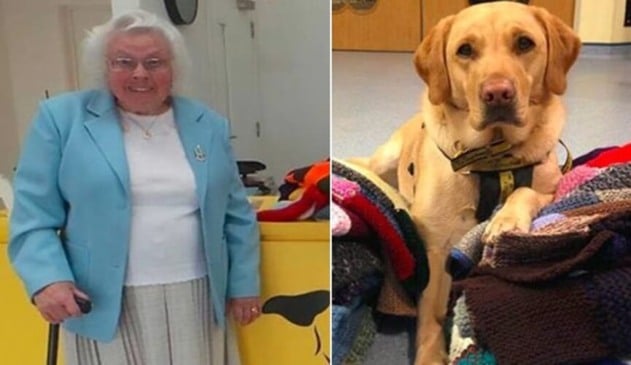 Cachorros de abrigos