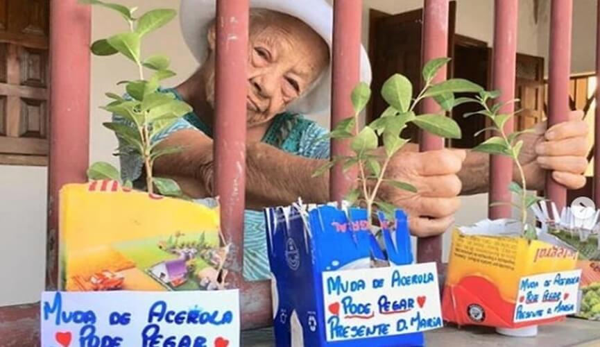 Idosa doa muda de acerola