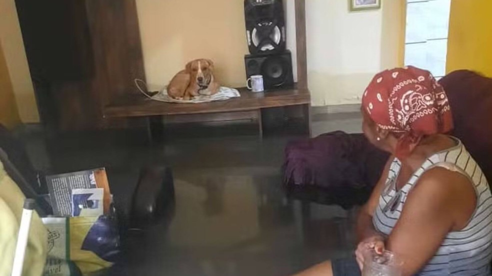 Foto: Arquivo Pessoal