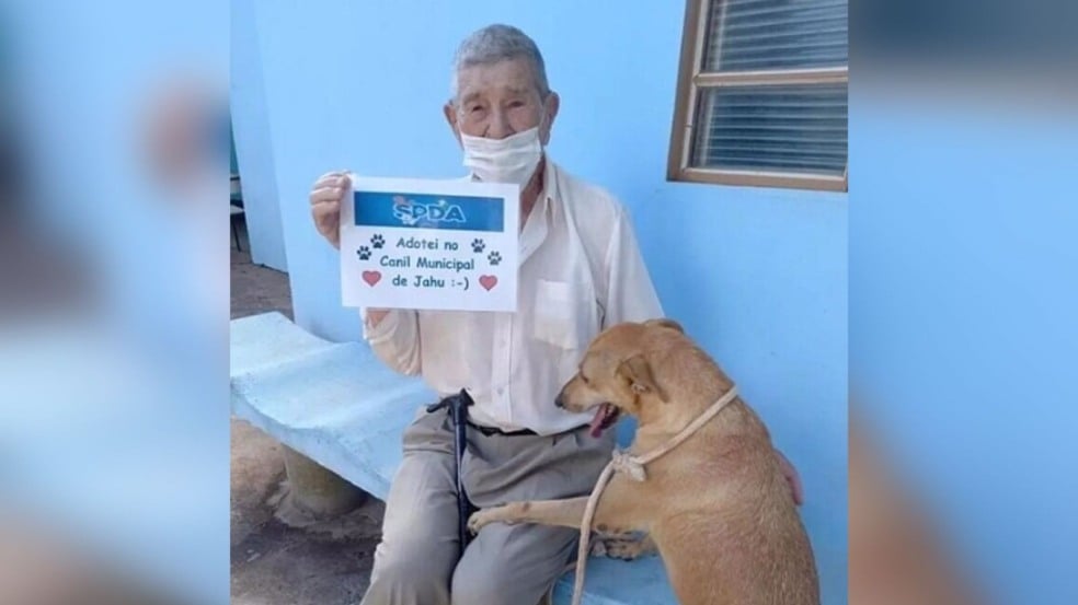 Cachorro caramelo é adotado após 4 anos em canil