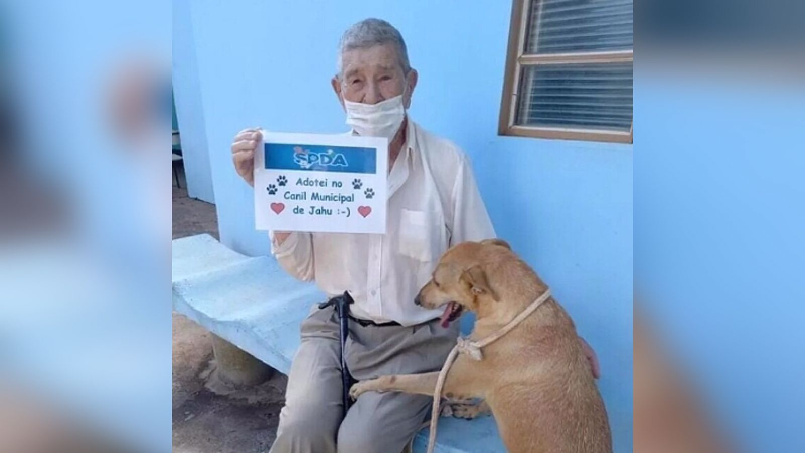 Cachorro caramelo é adotado após 4 anos em canil