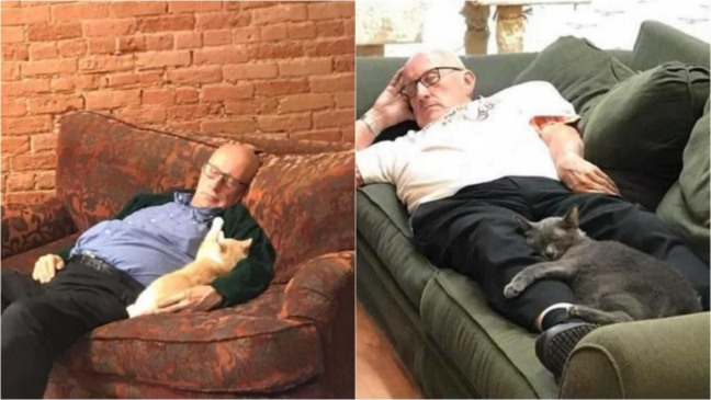 Idoso dormindo com gatinhos