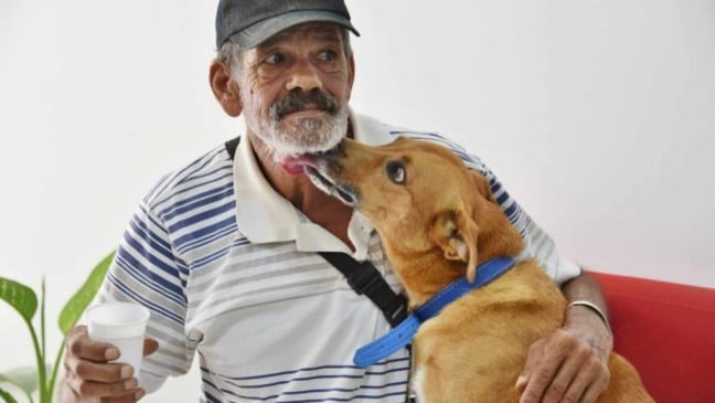 Cachorro lambendo tutor