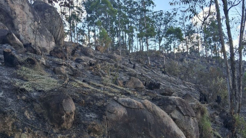 Incêndios em vegetação na área da Serra do Japi, em Jundiaí