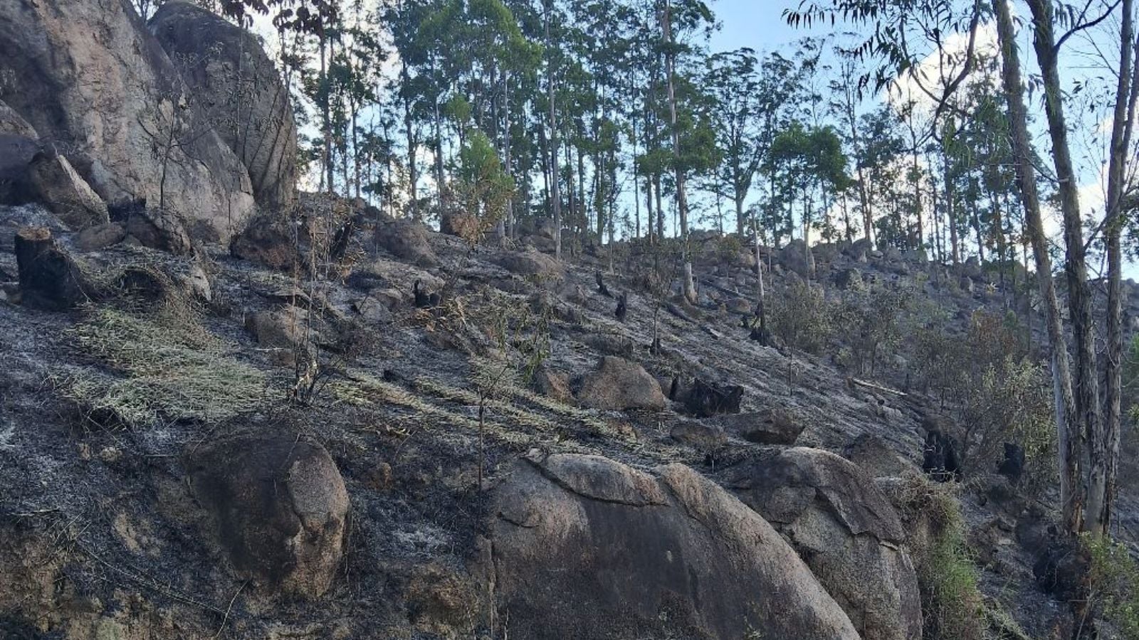 Incêndios em vegetação na área da Serra do Japi, em Jundiaí