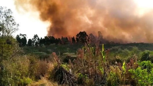 Incêndio em Itupeva