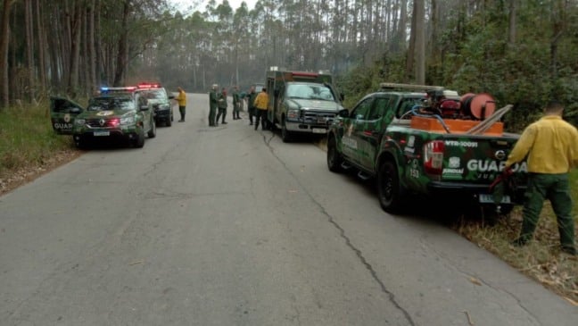 Incêndio queimou 5 hectares de mata na Serra do Japi nesta terça-feira (8)