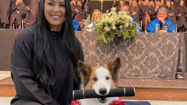 (Foto: Reprodução/Instagram @yamamoto.adestramento)