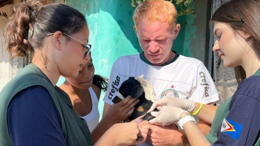 Coleta de sangue do cãezinho