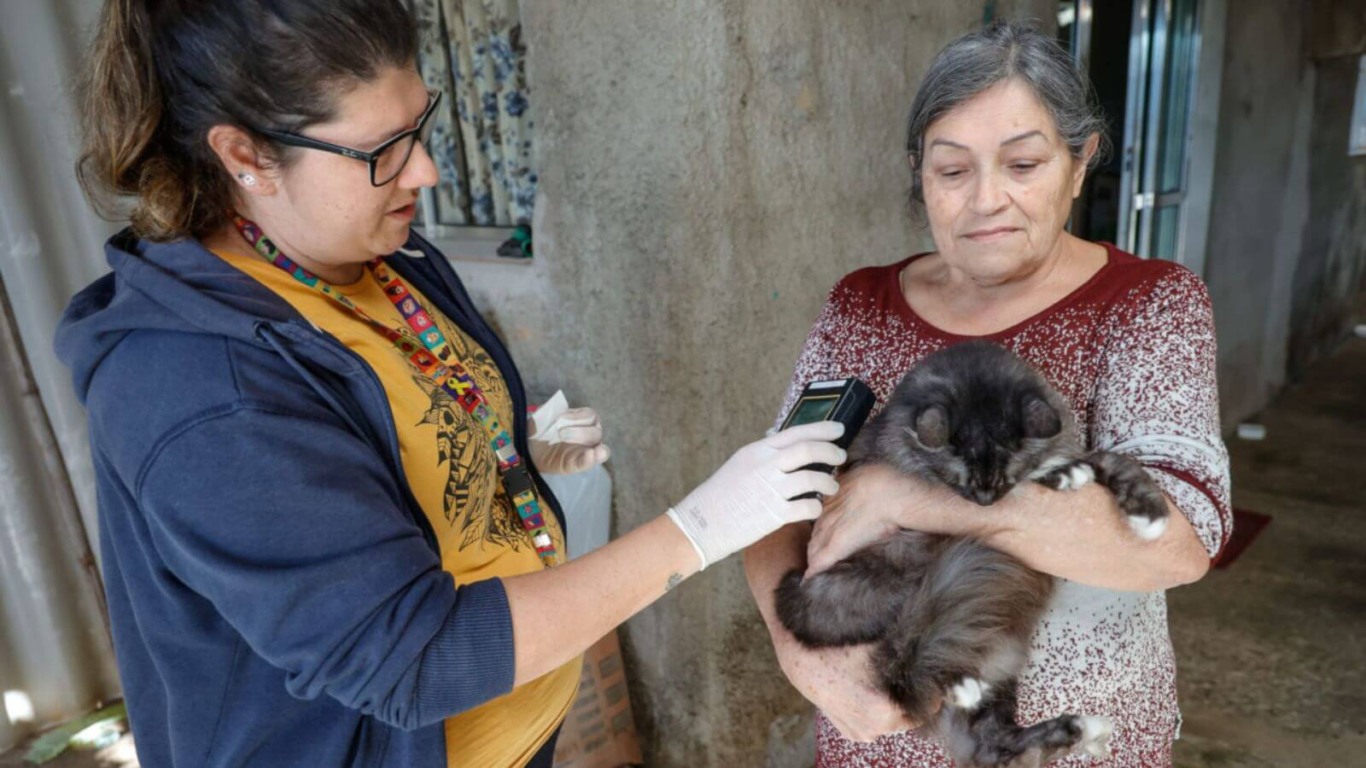 Microchipagem de animais em Jundiaí