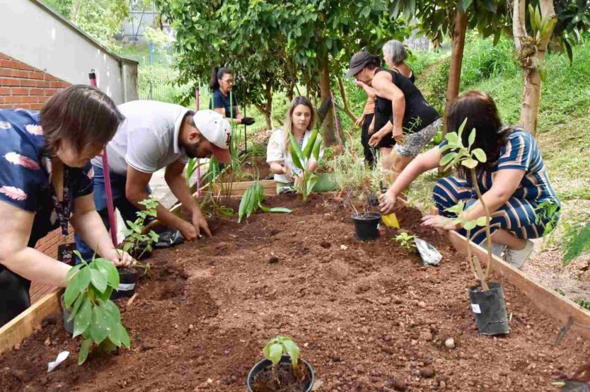 Jardim Terapêutico da Saúde é implantado na UBS Esplanada, em Jundiaí