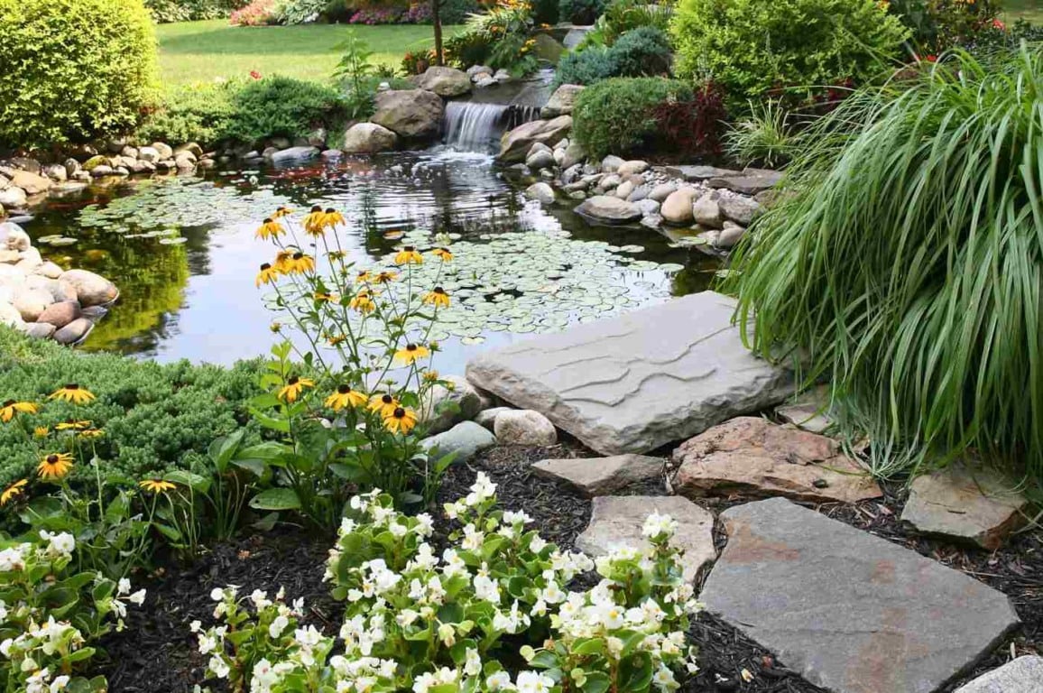 Como criar um jardim aquático