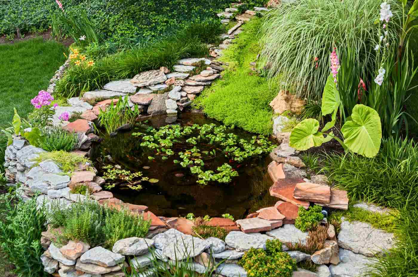 Como criar um jardim aquático