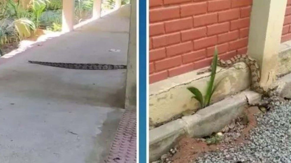 (Foto: Reprodução Gazeta/Anda.Jor)