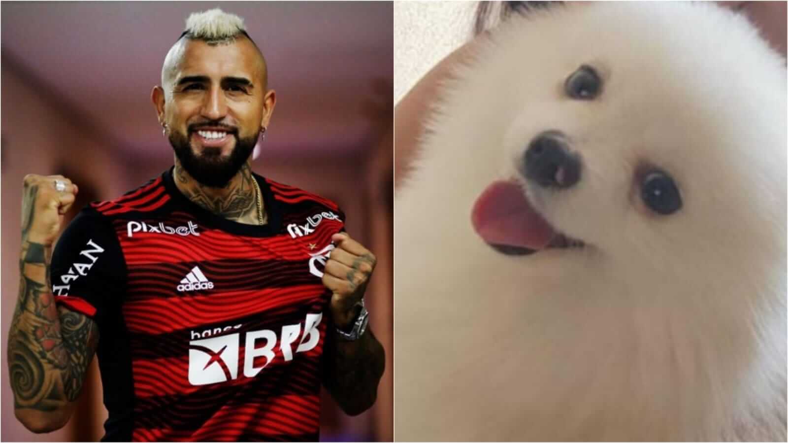 Vidal e cachorro desaparecido