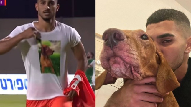 Jogador homenageia cachorro