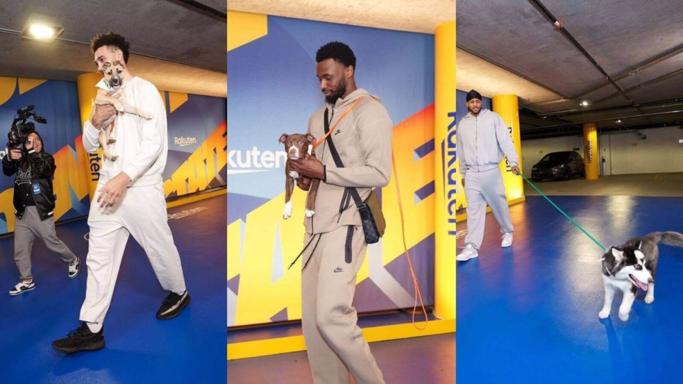 Foto: Reprodução/Instagram - Peninsula Humane Society & SPCA Foto: Reprodução/Instagram - Peninsula Humane Society & SPCA