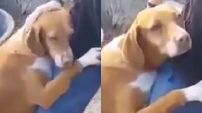 (Foto: Reprodução/Youtube)