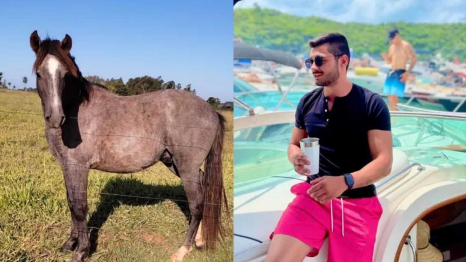 Cavalo e homem