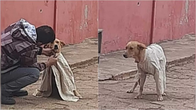 Homem agasalhando cachorro