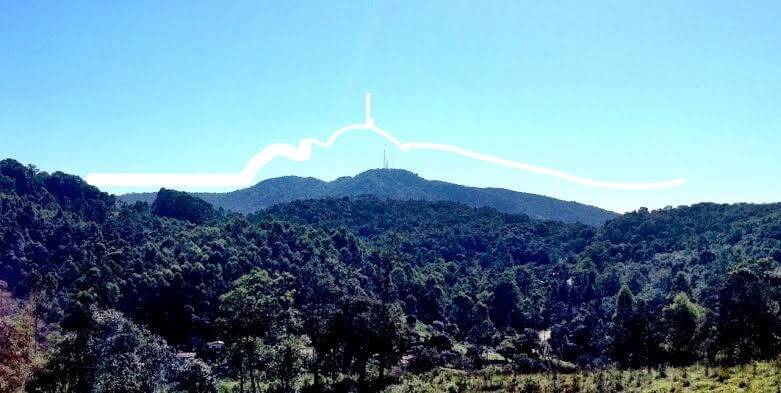 Foto que foi usada como base para a tatuagem (Foto: Arquivo Pessoal/ Giulia Batista)