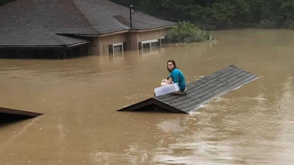 Jovem em telhado com cachorro