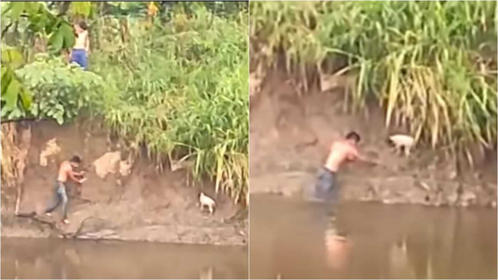 Jovesn resgatando cachorro de rio