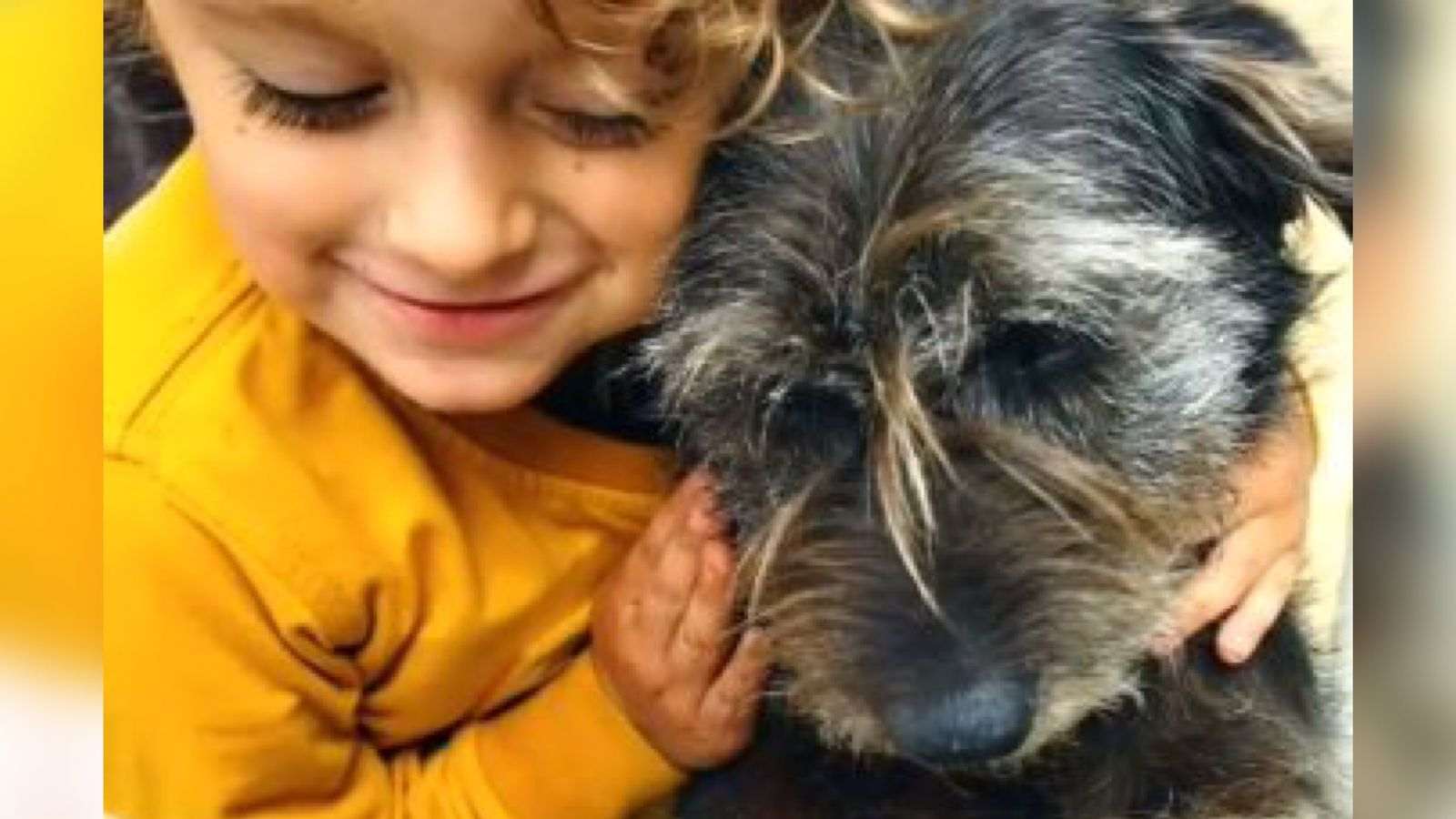 O pequeno Juan e o cão Salomé