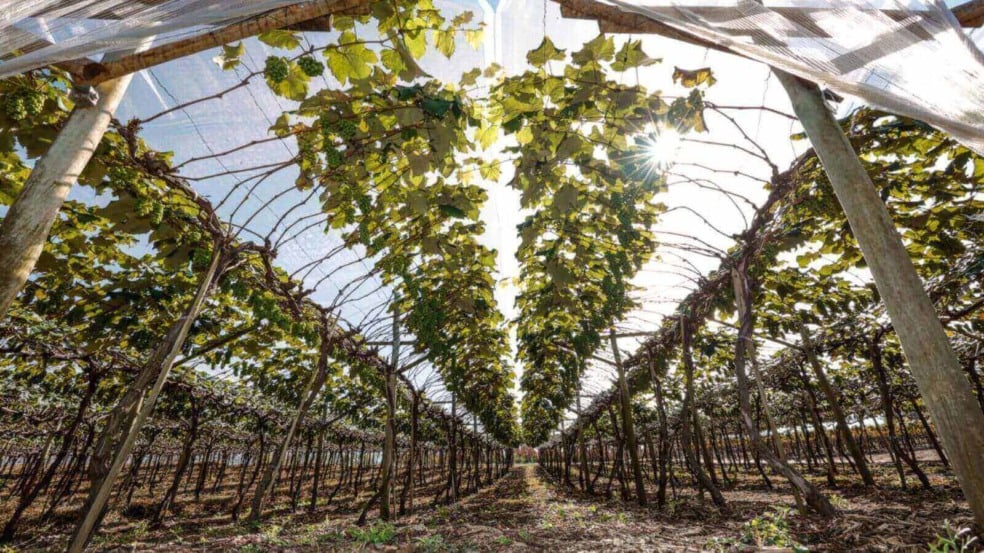 Foto: Prefeitura de Jundiaí