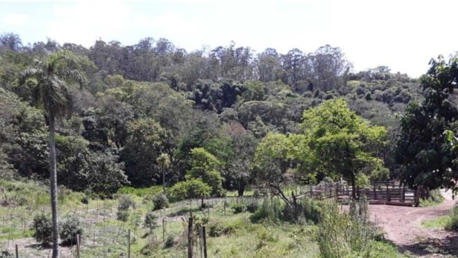 Propriedade da família Mingotte, de Jundiaí, que faz parte do PSA desde 2019