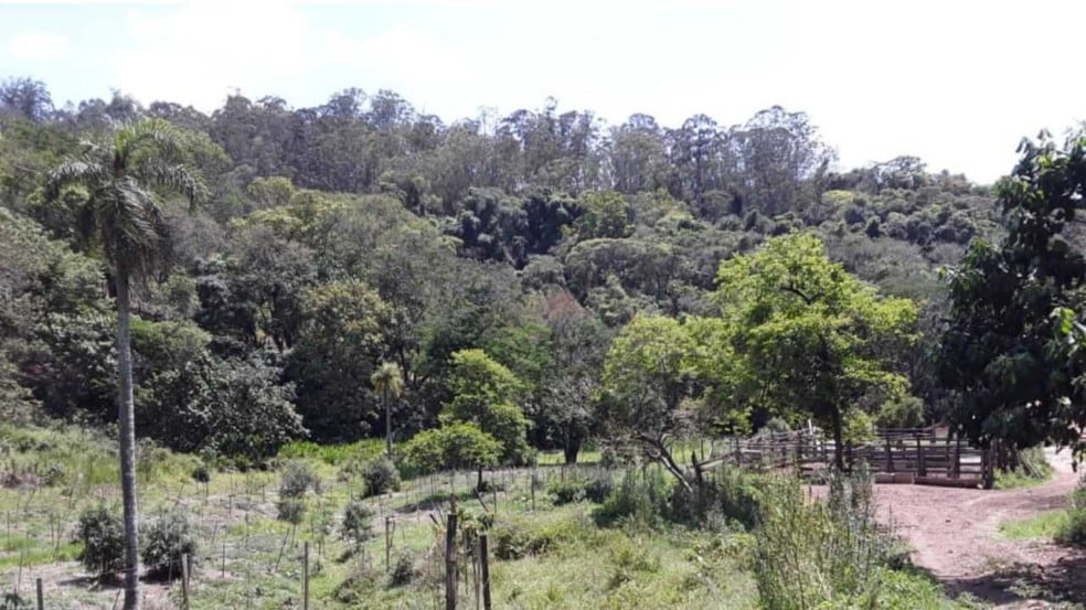 Propriedade da família Mingotte, de Jundiaí, que faz parte do PSA desde 2019