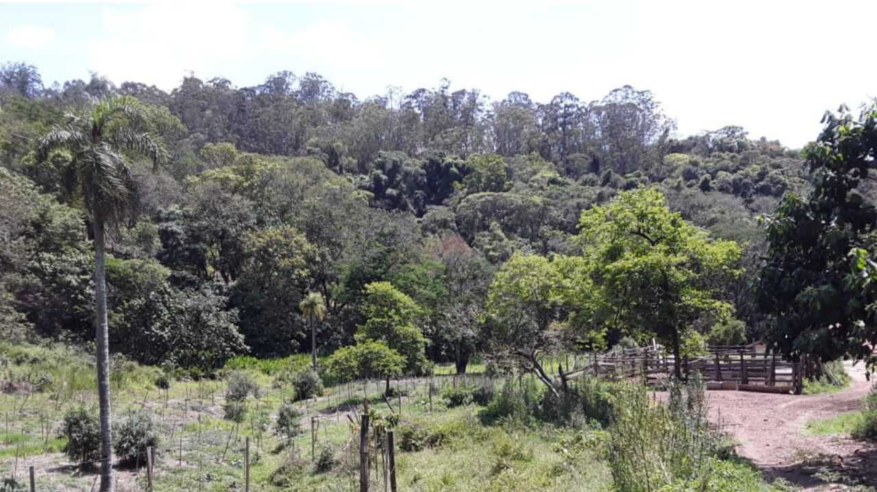 Propriedade da família Mingotte, de Jundiaí, que faz parte do PSA desde 2019