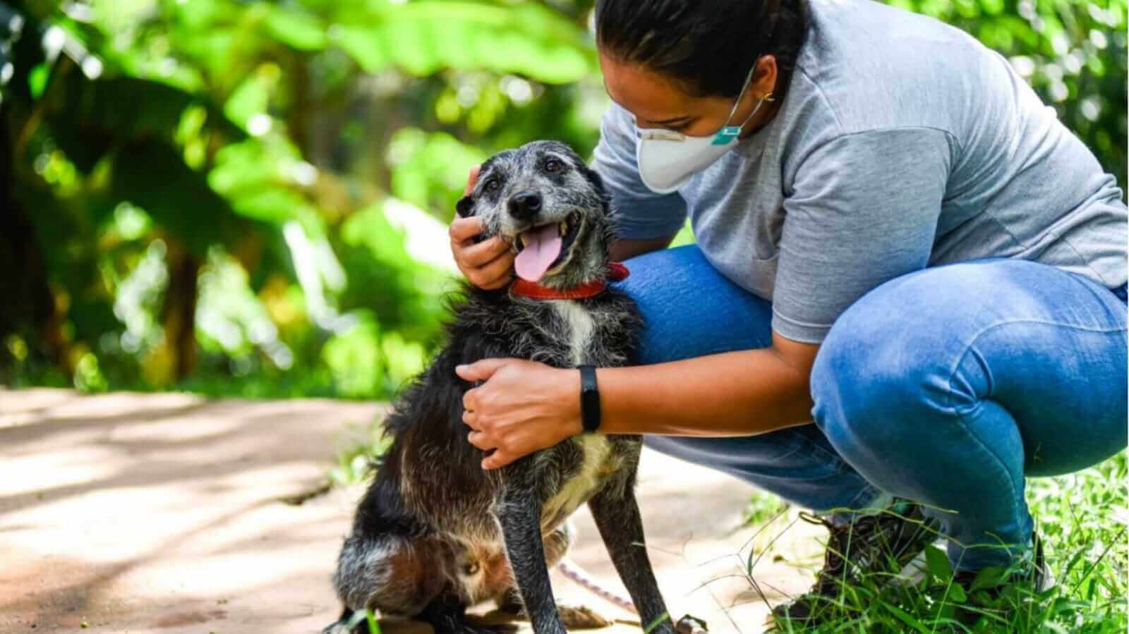 Mulher de máscara fazendo carinho em cachorro
