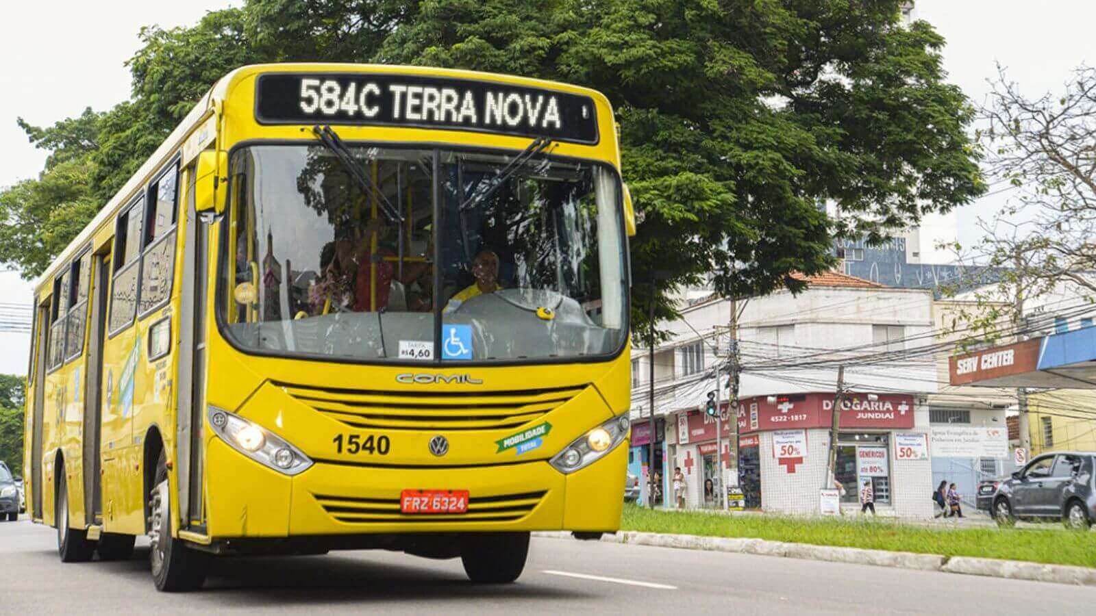 transporte público gratuito