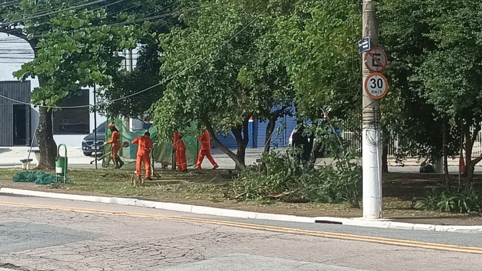 Roçada em parques, praças e áreas verdes