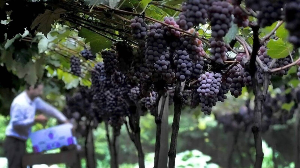 Foto: Prefeitura de Jundiaí