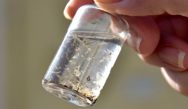 Ações de combate à dengue Ações de combate à dengue