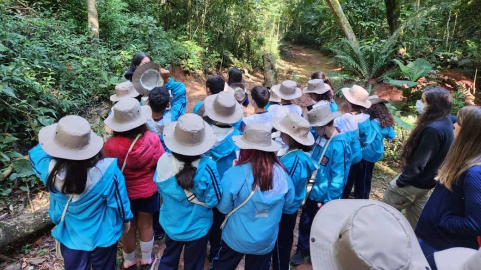 Crianças na Serra do Japi