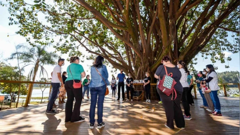 Pessoas reunidas em roda embaixo de árvore