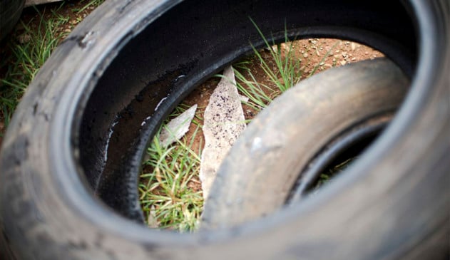 Jundiaí está em estado de atenção para a dengue, diz relatório do Ministério da Saúde
