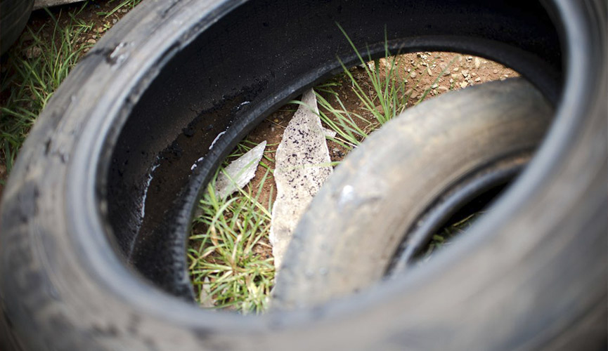 Jundiaí está em estado de atenção para a dengue, diz relatório do Ministério da Saúde
