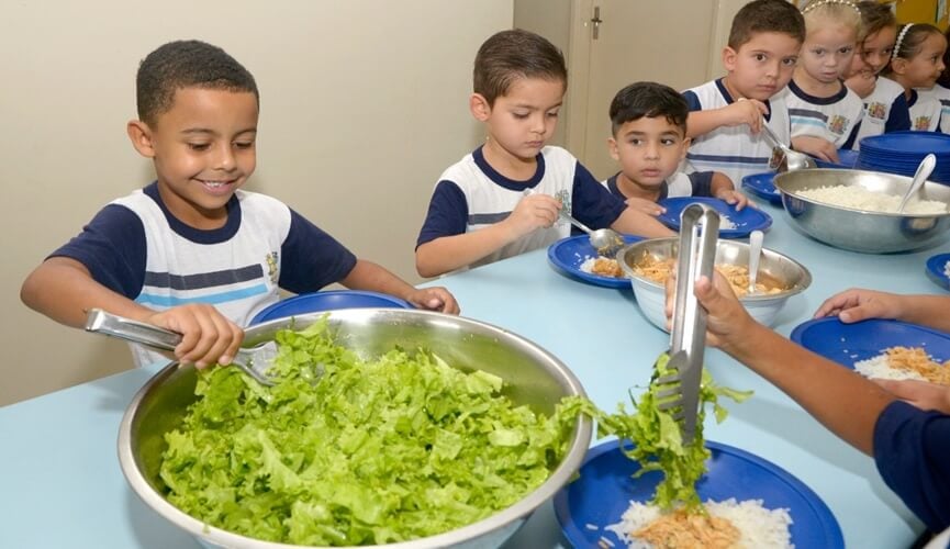 Alimentação saudável