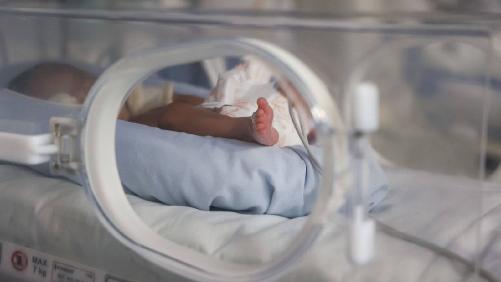 Bebê em incubadora