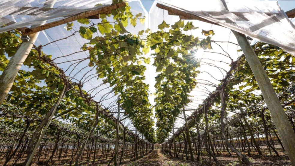 Foto: Prefeitura de Jundiaí Foto: Prefeitura de Jundiaí