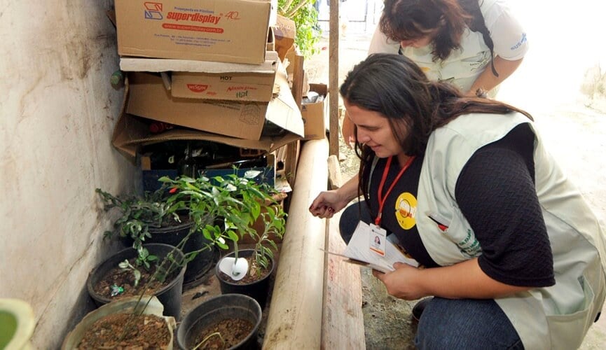 AÇÃO CONTRA A DENGUE