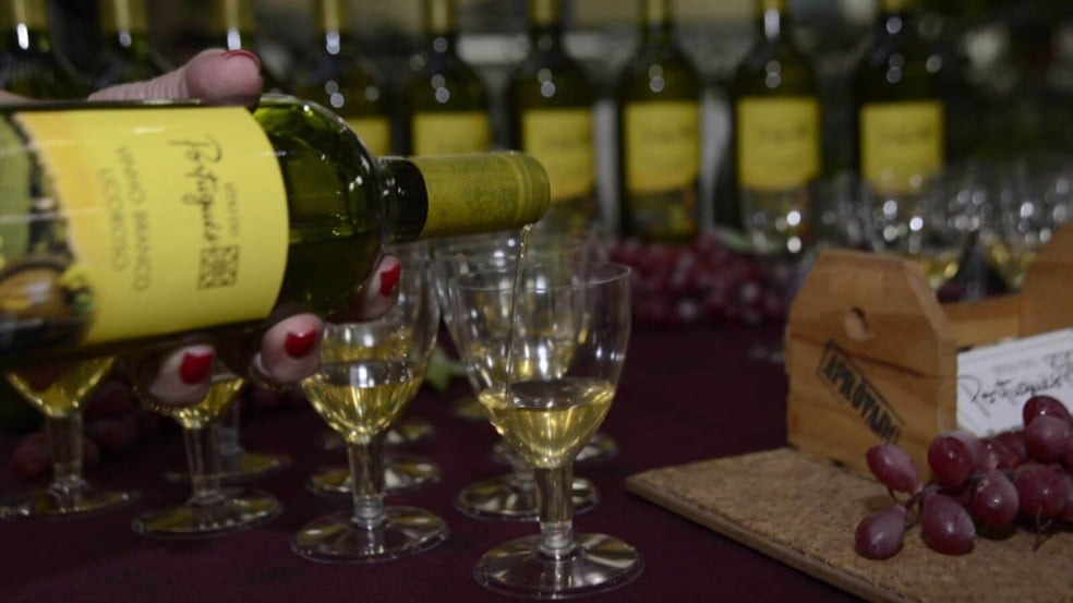 Dia do Vinho em Jundiaí